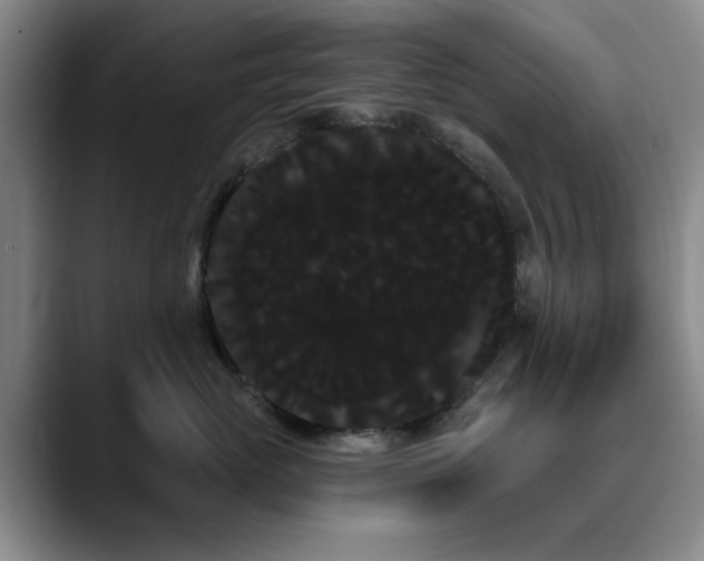 X0000090710765200707201215