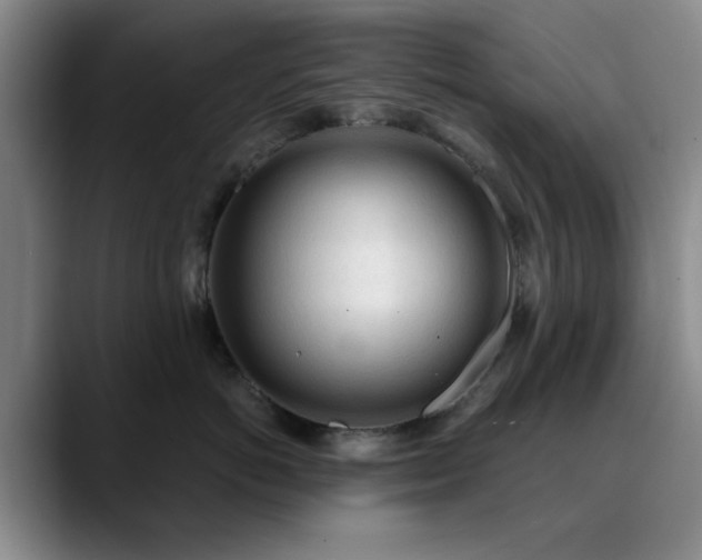 X0000090710766200707201215