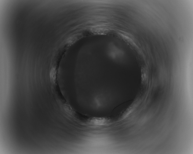 X0000090710767200707201215