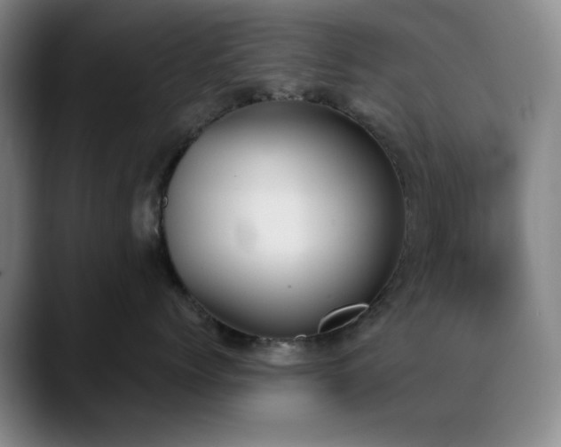 X0000090710768200707201215