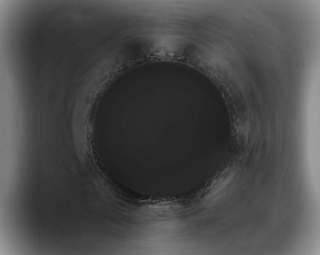 X0000090710769200707201215