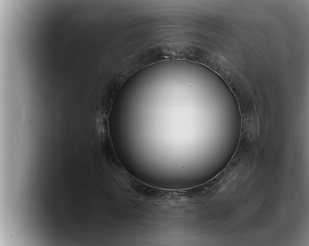 X0000090710770200707201215