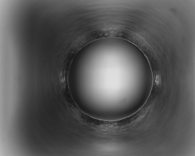 X0000090710771200707201215