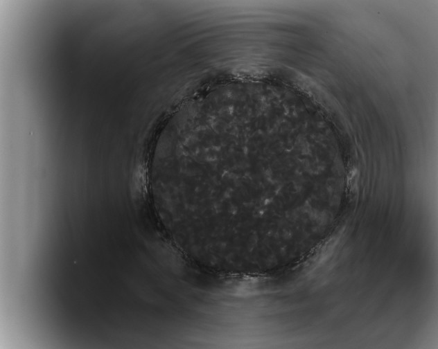 X0000090710772200707201215