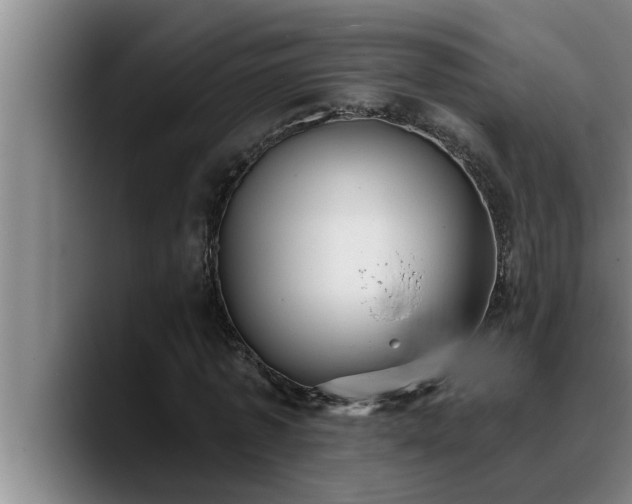 X0000090710773200707201215