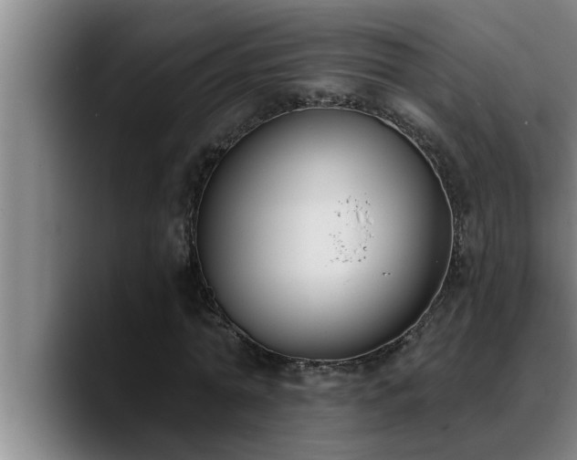 X0000090710774200707201215