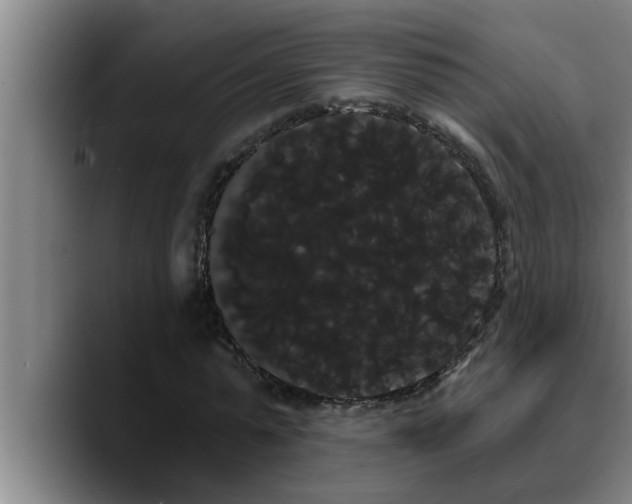 X0000090710775200707201215