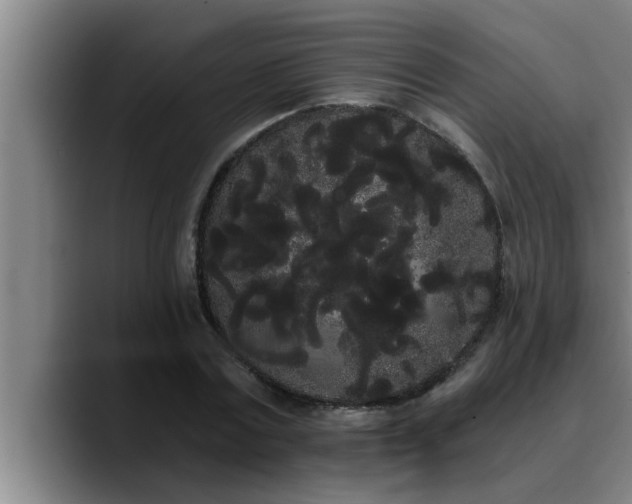 X0000090710779200707201215