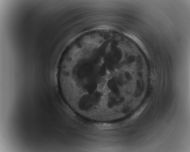 X0000090710783200707201214