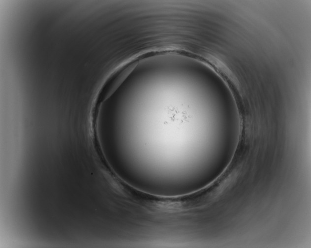 X0000090710789200707201214