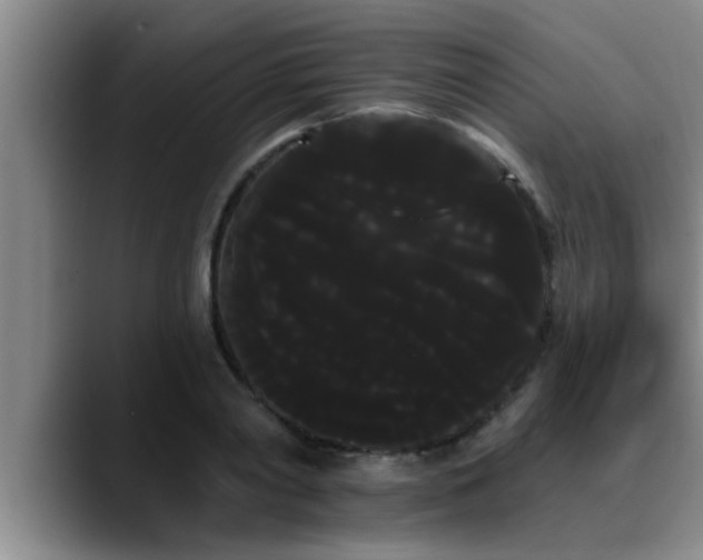 X0000090710790200707201214