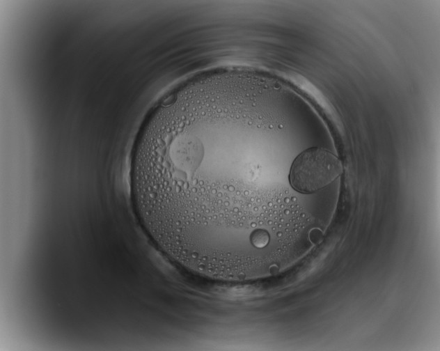 X0000090710791200707201214