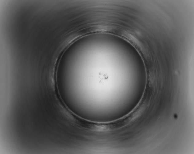 X0000090710794200707201214