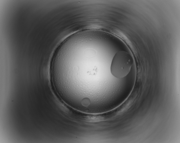 X0000090710795200707201214