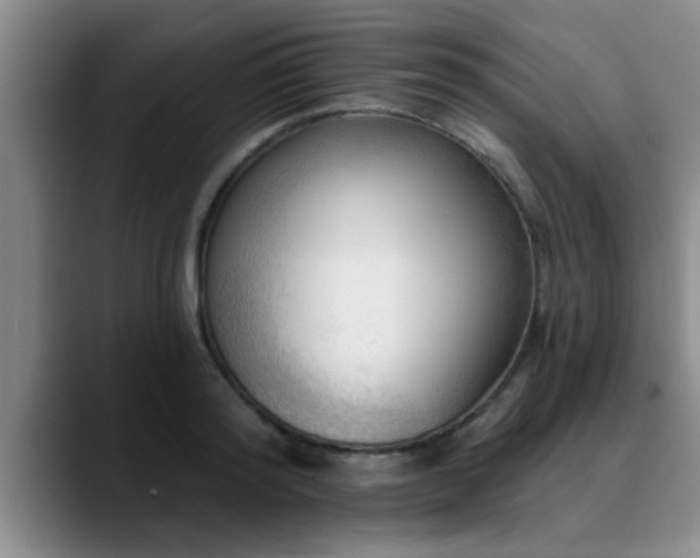 X0000090710796200707201214