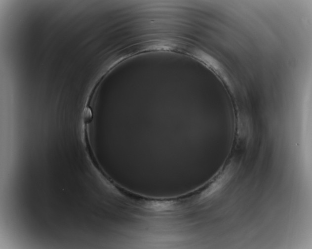 X0000090710802200707201214