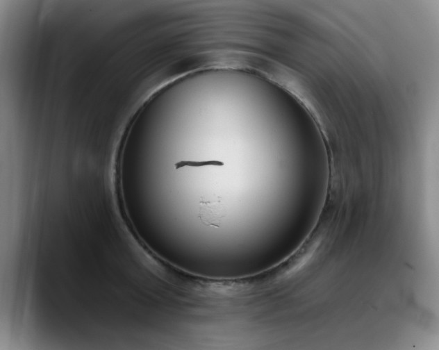 X0000090710803200707201214