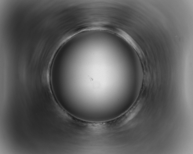 X0000090710813200707201214