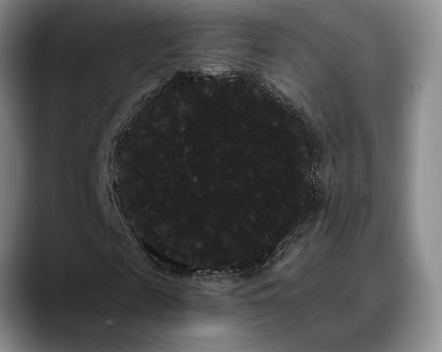 X0000090710817200707201214