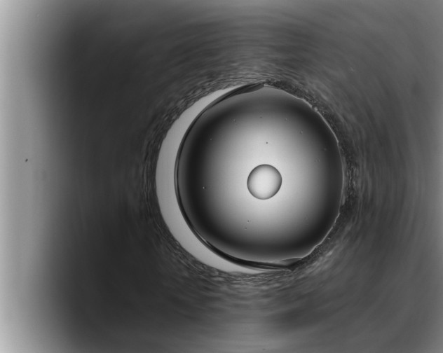 X0000090710818200707201214