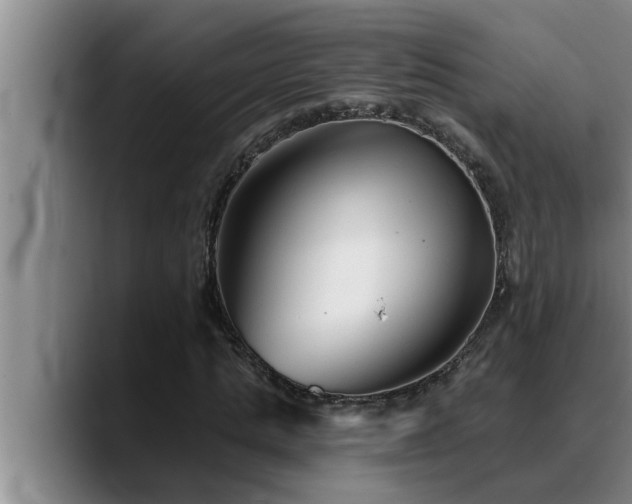 X0000090710821200707201214