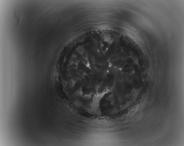 X0000090710823200707201214