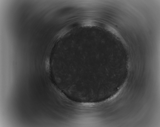 X0000090710825200707201214