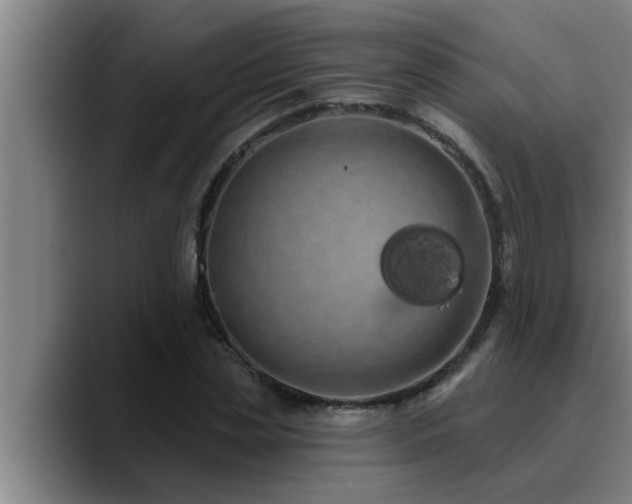 X0000090710829200707201214