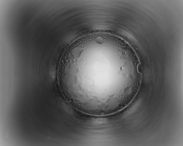 X0000090710833200707201214