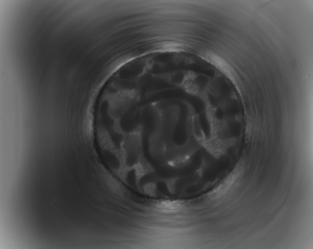 X0000090710835200707201214