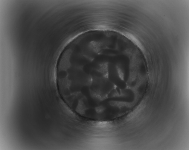 X0000090710839200707201214