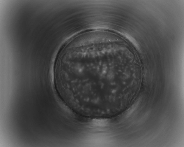 X0000090710840200707201214