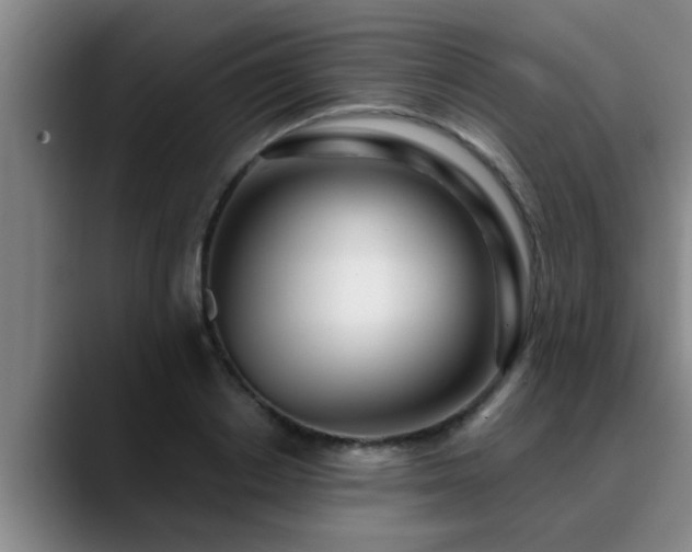 X0000090710842200707201214