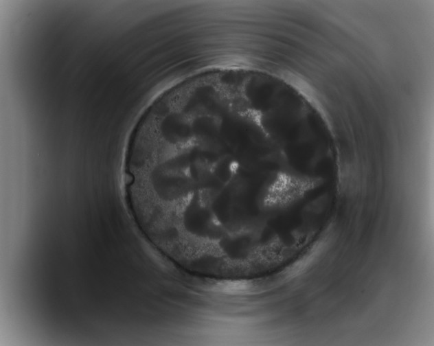 X0000090710845200707201214