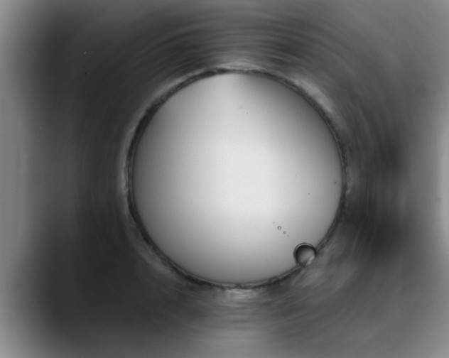 X0000090710848200707201214