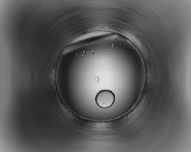 X0000090710849200707201214