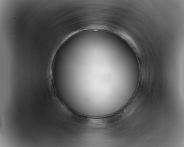 X0000090710852200707201214