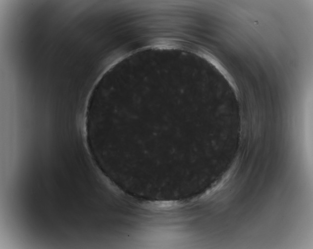 X0000090710853200707201214