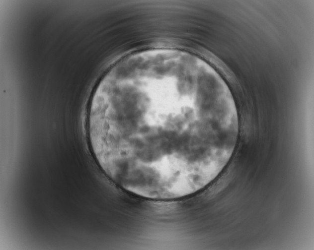 X0000090710856200707201214