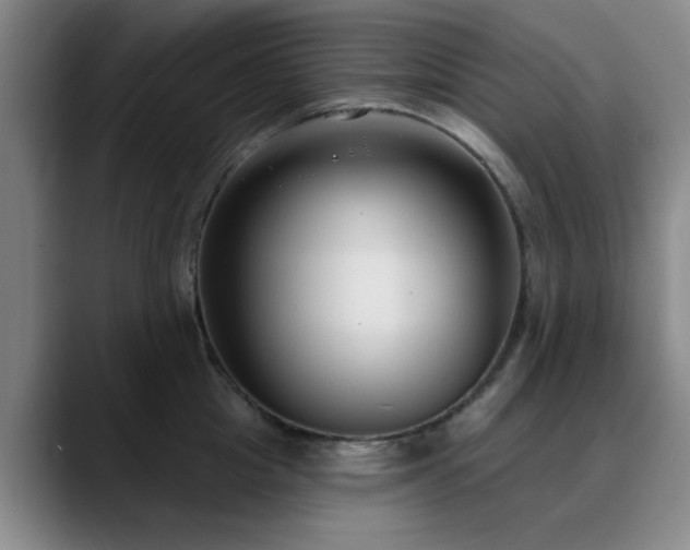 X0000090710857200707201214