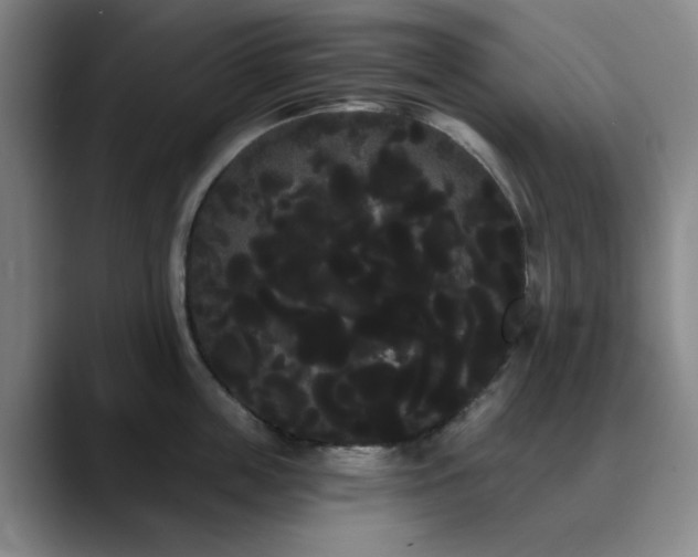 X0000090710859200707201214