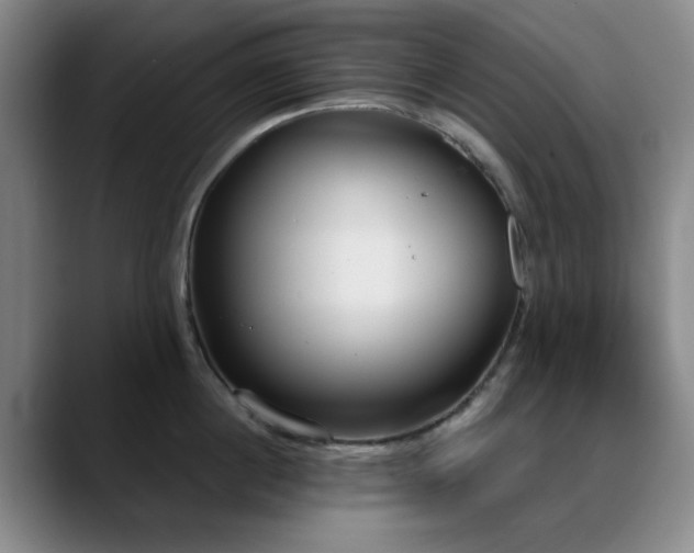 X0000090710860200707201214