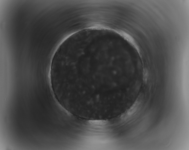 X0000090710863200707201214