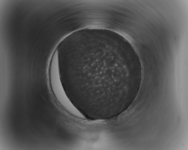 X0000090710864200707201214