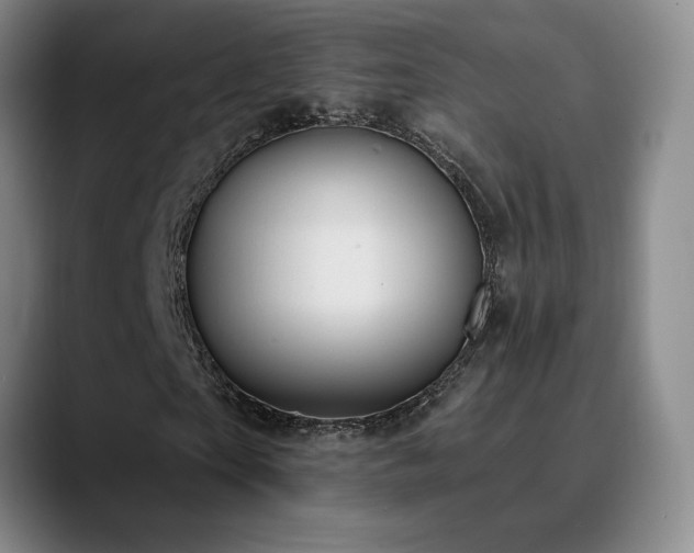 X0000090710865200707201214