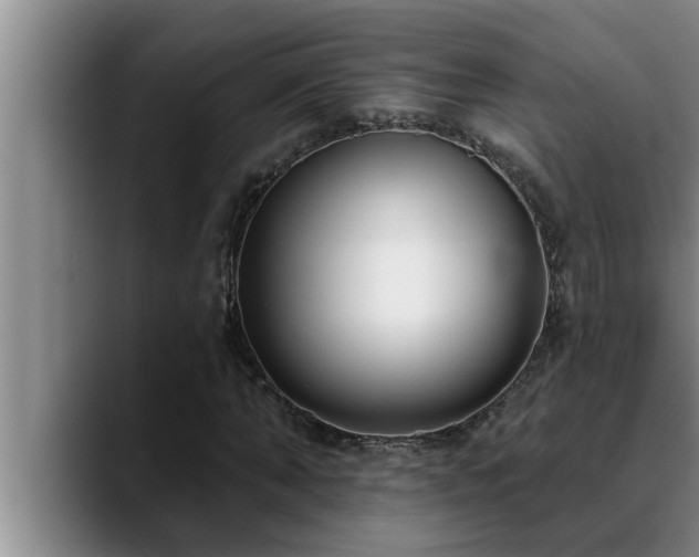 X0000090710870200707201213