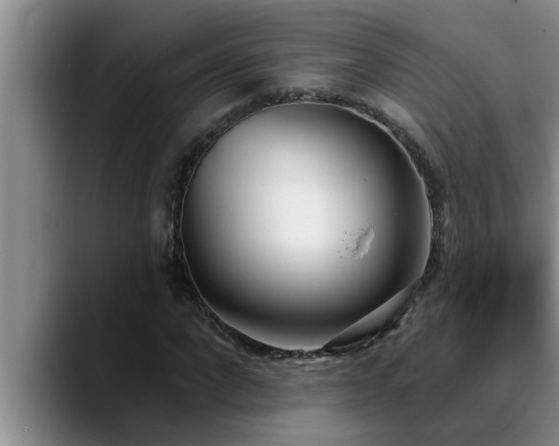 X0000090710872200707201213