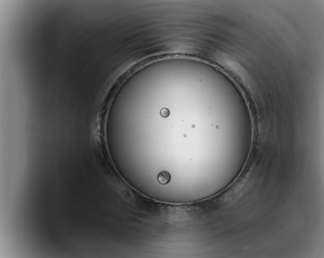 X0000090710875200707201213