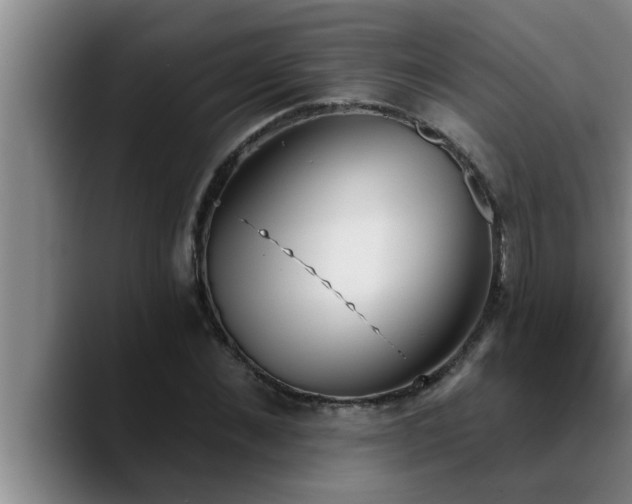 X0000090710876200707201213