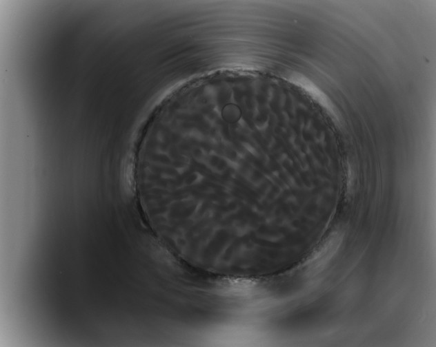 X0000090710878200707201213